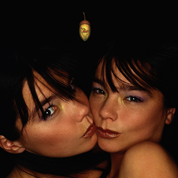 Björk yn y Ganllwyd gyda Michel Gondry yn 1995